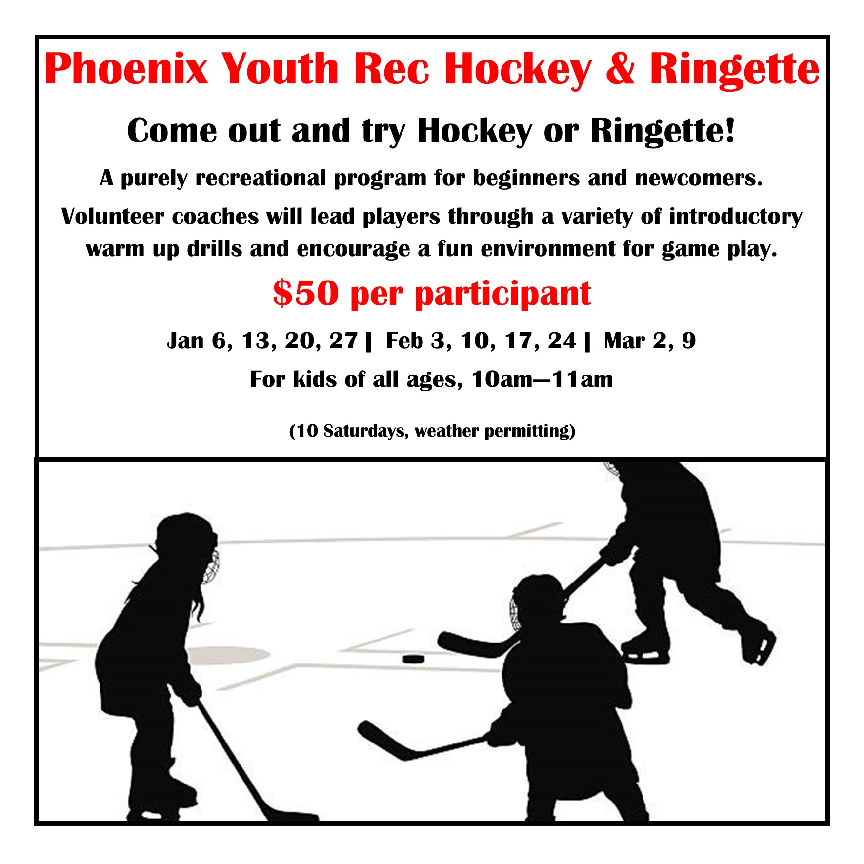 Recreational Hockey & Ringette Program